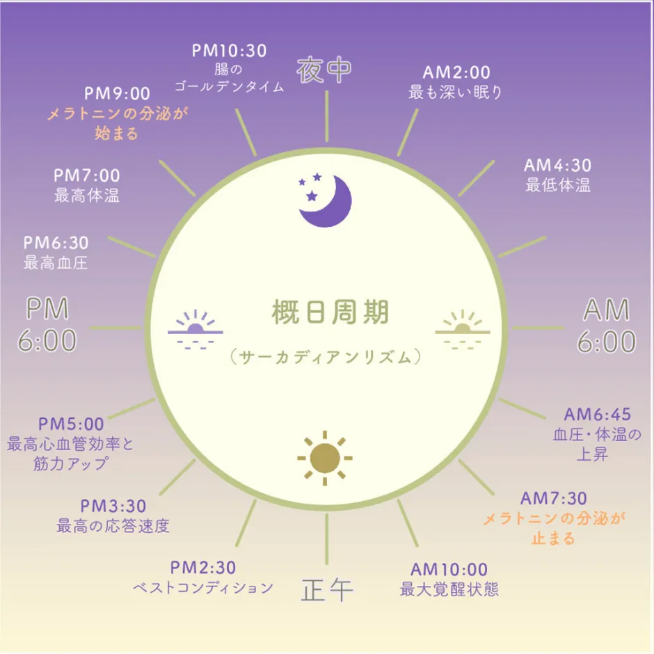 Other Goods^IZIPIZI / Sleeping Glasses #D